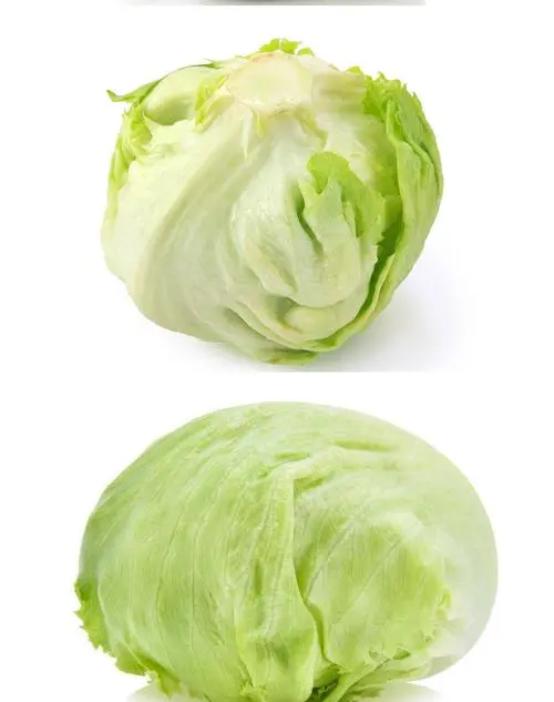 蔬菜配送價(jià)格表 2024-11-11