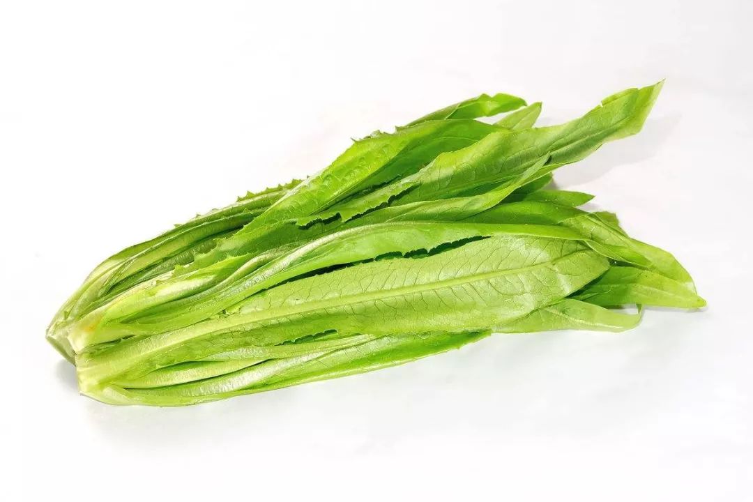 增城學校蔬菜配送號碼