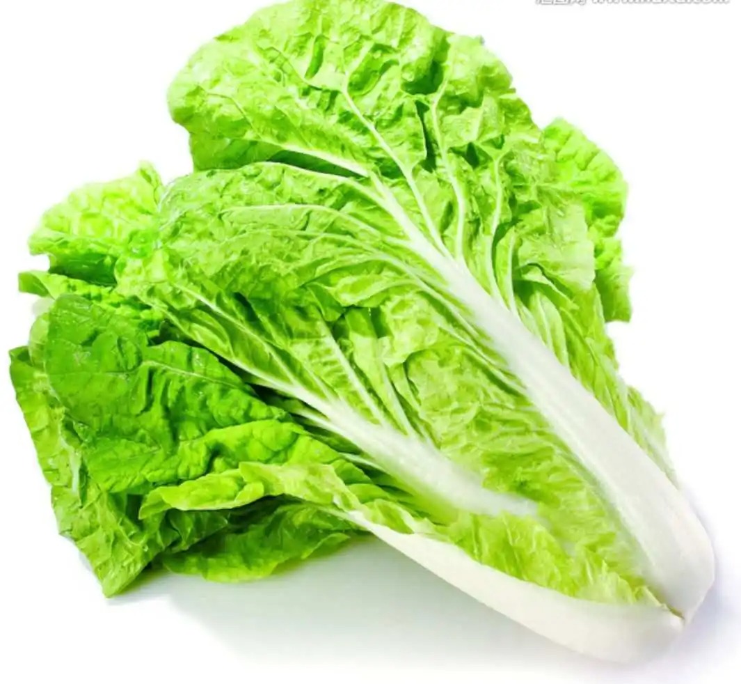 {用創(chuàng)新與幽默鑄就的長尾詞標題：}_武漢蔬菜包配送熱線，一鍵解決餐桌新鮮需求！