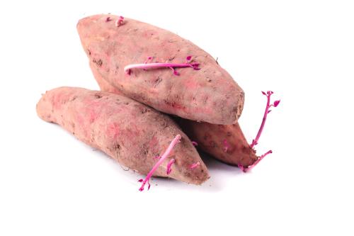 大興鎮(zhèn)蔬菜配送公司地址